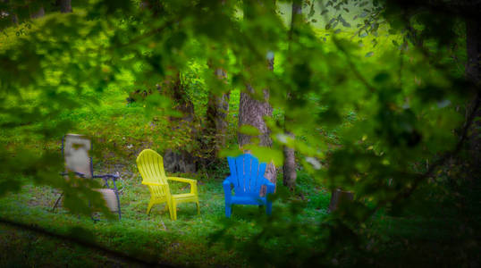 红黄和棕褐色的椅子坐在树林里