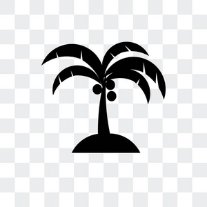 在透明背景上隔离的椰子树矢量图标,照片
