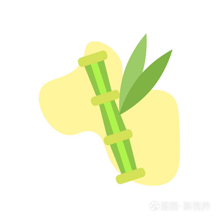 白色背景上的竹子图标向量竹子符号n