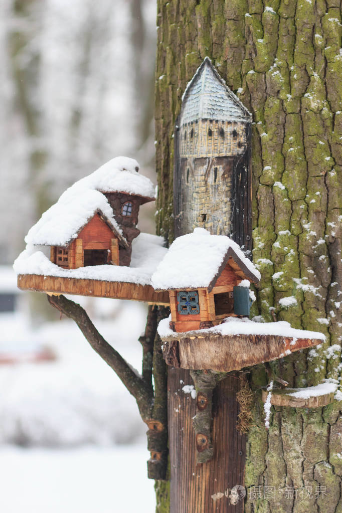 小鸟在冬天被饲养的房子