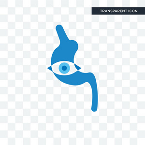 在透明背景下隔离的内窥镜矢量图标, endosc照片