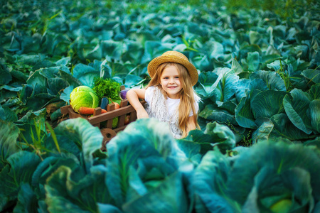 快乐的女孩在稻草帽子在白菜领域与篮子蔬菜