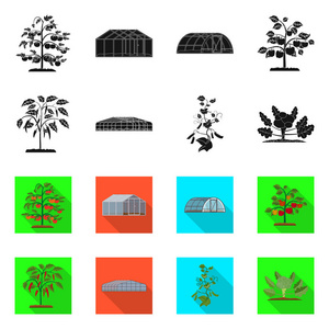 温室和植物符号的孤立对象。温室和花园股票矢量图集