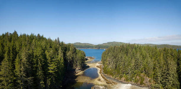 在充满活力的夏日，岩石海岸的空中全景景观。 拍摄于加拿大不列颠哥伦比亚省北部温哥华岛。