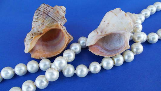 贝壳和珍珠珠在蓝色背景上。