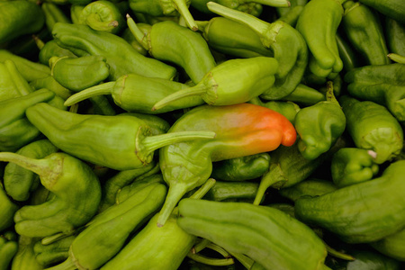彩色辣椒，背景，红色，黄色，绿色辣椒。健康的食物。五颜六色的辣椒。自然背景