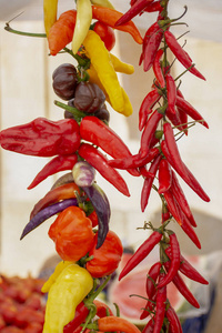 彩色辣椒，背景，红色，黄色，绿色辣椒。健康的食物。五颜六色的辣椒。自然背景