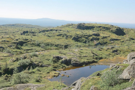 令人惊叹的夏季苔原景观绿色苔藓生态系统照片