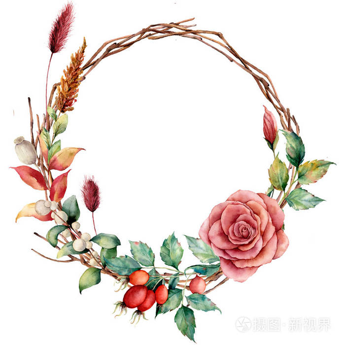 水彩花圈与dogrose 和花 手绘树边框与大丽花 树枝和叶子 Lagurus 孤立的白色背景 设计 织物或背景 插图照片 正版商用图片12txsf 摄图新视界