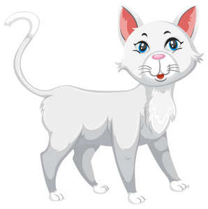 白色可爱的宠物猫插图