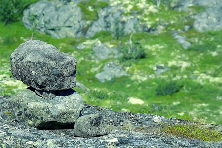 令人惊叹的夏季苔原景观绿色苔藓生态系统照片