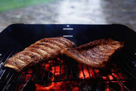 烤架上的排骨烧烤煤鲜肉猪肉烧烤炭夏日家常饭烤排骨