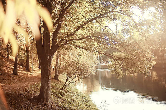 池塘在一个秋天的公园景观的水在秋天的森林反射秋树和树枝的水的寒冷池塘。 落叶水。 树叶落在池塘城市公园