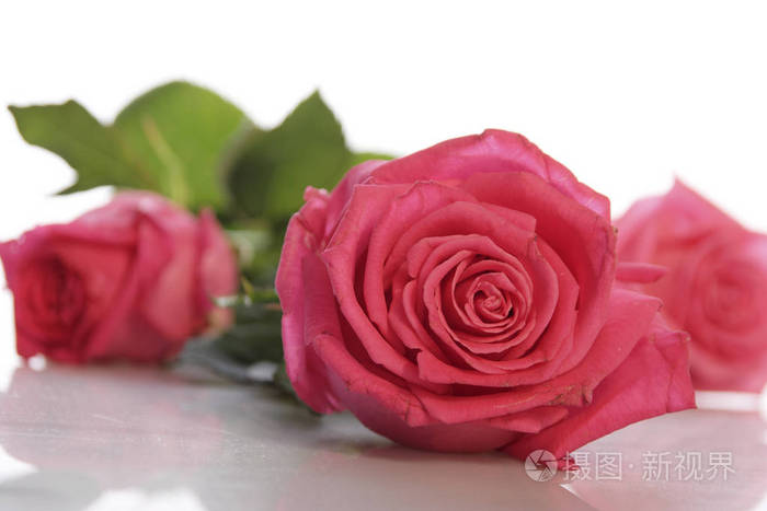 三朵玫瑰代表什么 _微信男人发女人三朵玫瑰代表什么-第2张图片-潮百科