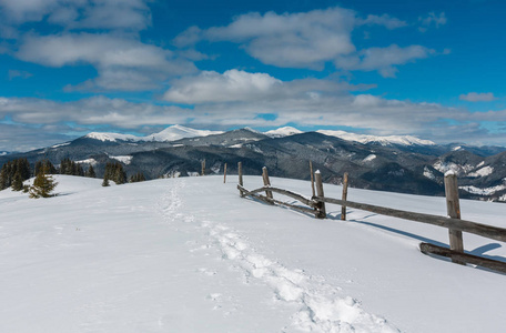 风景如画的冬季山景从高山路径与足迹。 斯库波瓦山坡乌克兰观果诺霍拉脊和琵琶伊凡山顶卡帕蒂安。