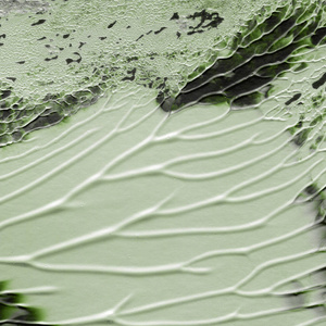 绿色丙烯酸涂料纹理抽象背景