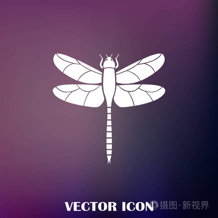 蓝蜻蜓顶景用透明翅膀素描插图孤立在白色背景白色背景下蜻蜓昆虫的