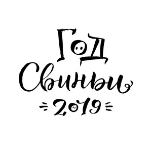 猪的一年。 新年快乐，2019年俄罗斯书法。 白色背景下的贺卡设计。 矢量图。