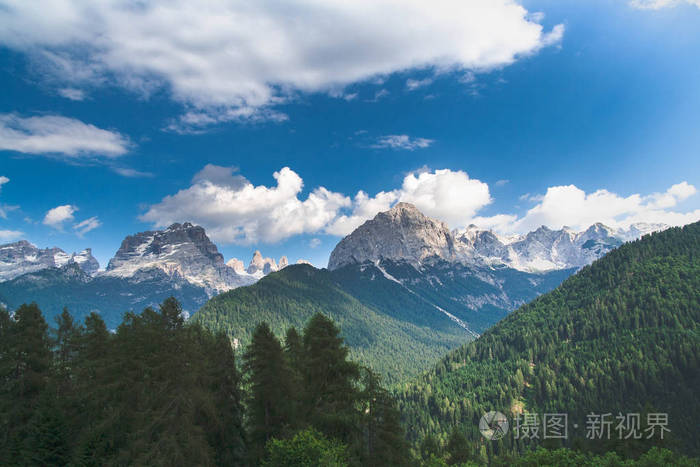 夏天有山顶和杉树的山景