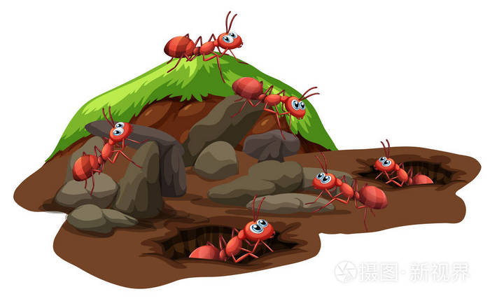 一群生活在地下的蚂蚁