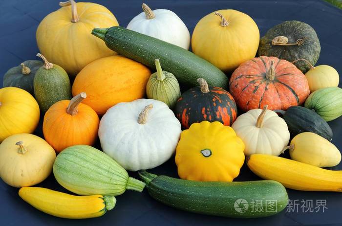 秋天收获不同品种的五颜六色的南瓜和南瓜