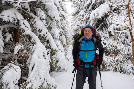 快乐的冒险家带着大背包站在雪地里，站在覆盖着雪和欣赏风景的巨大松树上。 在冬天的荒野里旅行很棒。