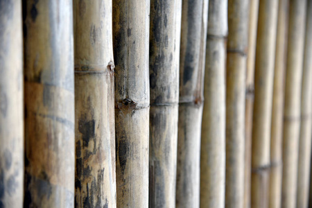 用于屏障的木制面板。 木墙背景旧棕色色调竹木栅栏纹理为背景。