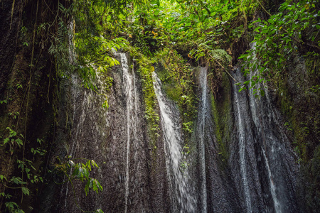 绿色热带森林中的大型瀑布集中在瀑布上。 巴利