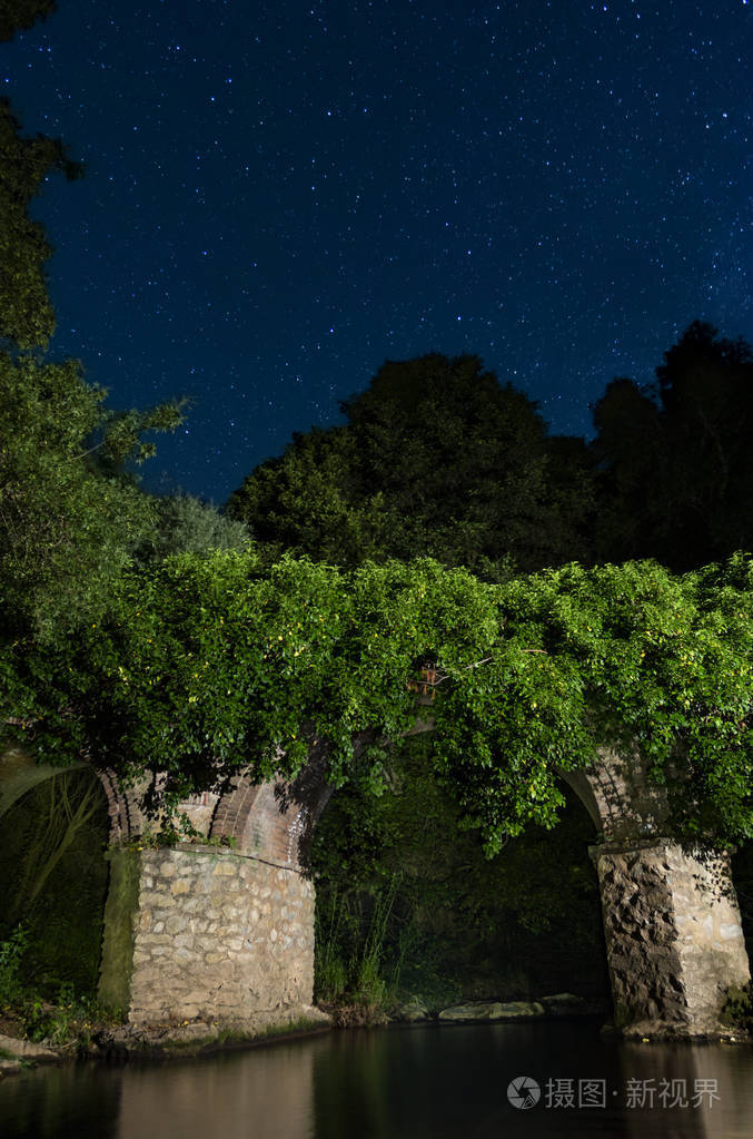 绿色灌木丛生长在柱子和平静的池塘在繁星的夜晚长时间暴露