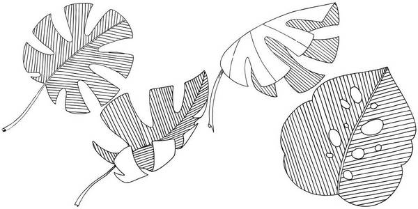 矢量热带树叶在水彩风格孤立。 背景纹理包装图案框架或边框的矢量叶。