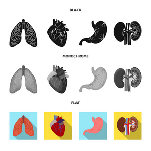 人体和人体图标的矢量图示。一套身体和医疗股票向量例证