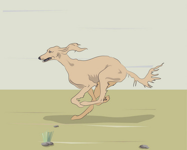 最新高清跑狗图图片-最新高清跑狗图素材-最新高清跑狗图插画-摄图新