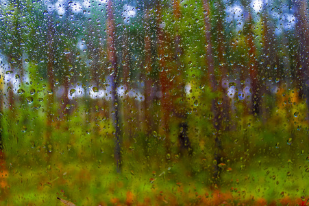 窗外的雨滴。背景下的秋天森林模糊。秋季雨季景观