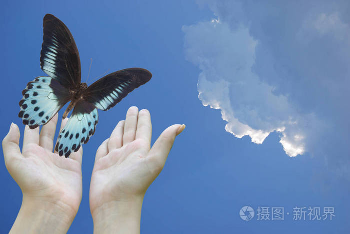 蓝色的蝴蝶从天上的手中飞走了