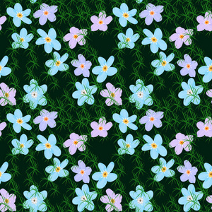 矢量花卉无缝图案。 小可爱彩色花的插图。 蓝色和粉红色的小花在黑暗的背景上，有草元素