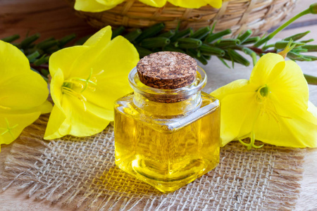 月见草油图片-月见草油素材-月见草油插画-摄图新视界