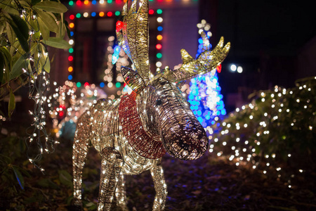 圣诞灯以鹿的形式出现，背景中有五颜六色的灯光