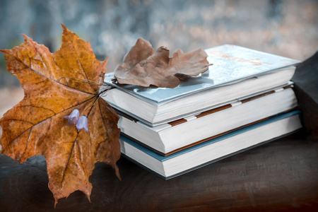 公园里的一张木凳上有几本书和黄色的秋天枫叶.照片