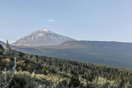 泰德火山的远观和森林的一部分