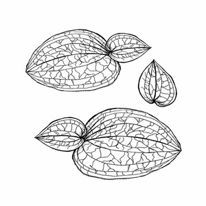 在城市公园里叶黄素分子结构在白色上分离明亮的黄色银杏叶在木凳上