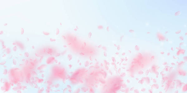 樱花花瓣落下。浪漫的粉红色花朵落下雨。蓝天上飞舞的花瓣 backg