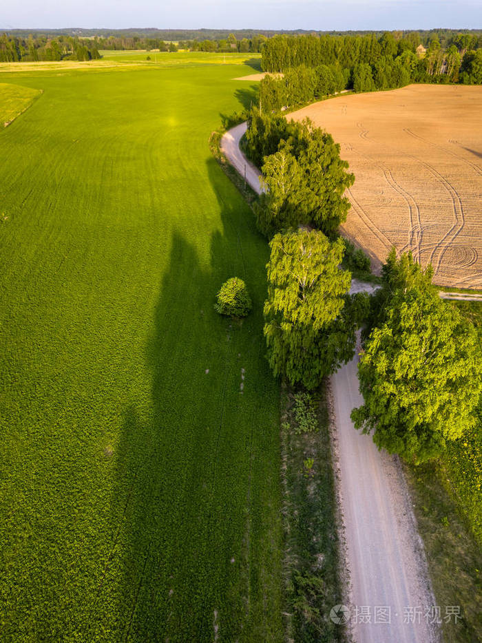 无人驾驶飞机照片的十字路口之间的树木在五颜六色的早春顶部向下的视野与新栽培的田野在一边和蒲公英的田野在另一边