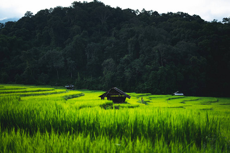 在晚上的农村图片-在晚上的农村素材-在晚上的农村插画-摄图新视界