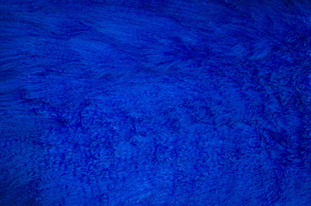 天然毛皮。波浪状的纹理。蓝色。