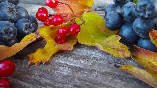 新鲜的黑色噎食和红色的振动，叶子在木制背景上。