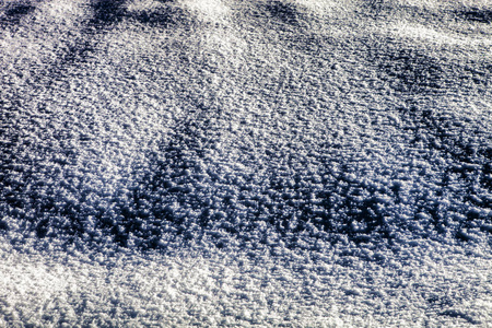 新入侵的奥地利雪结构