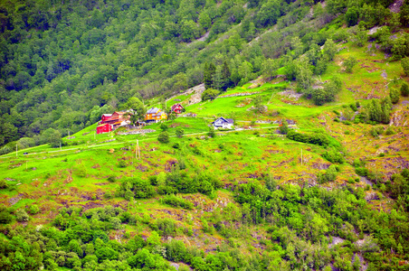 sognefjord峡湾穿过著名的弗拉姆镇，该镇以其景观和旅游火车而闻名