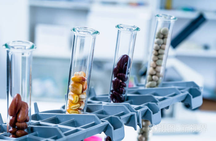 食品供应的化学实验室.在实验室中的食物,dna 修改