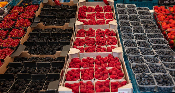 鹿特丹当地市场上各种浆果的彩色展示