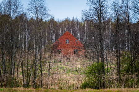 春天森林里红砖砌成的鬼屋